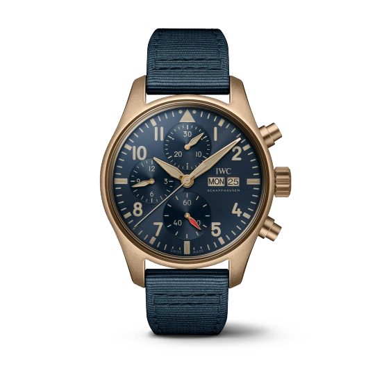 IWC pilot series IW388109 watch